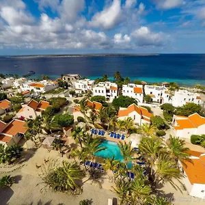 Hamlet Oasis Playa